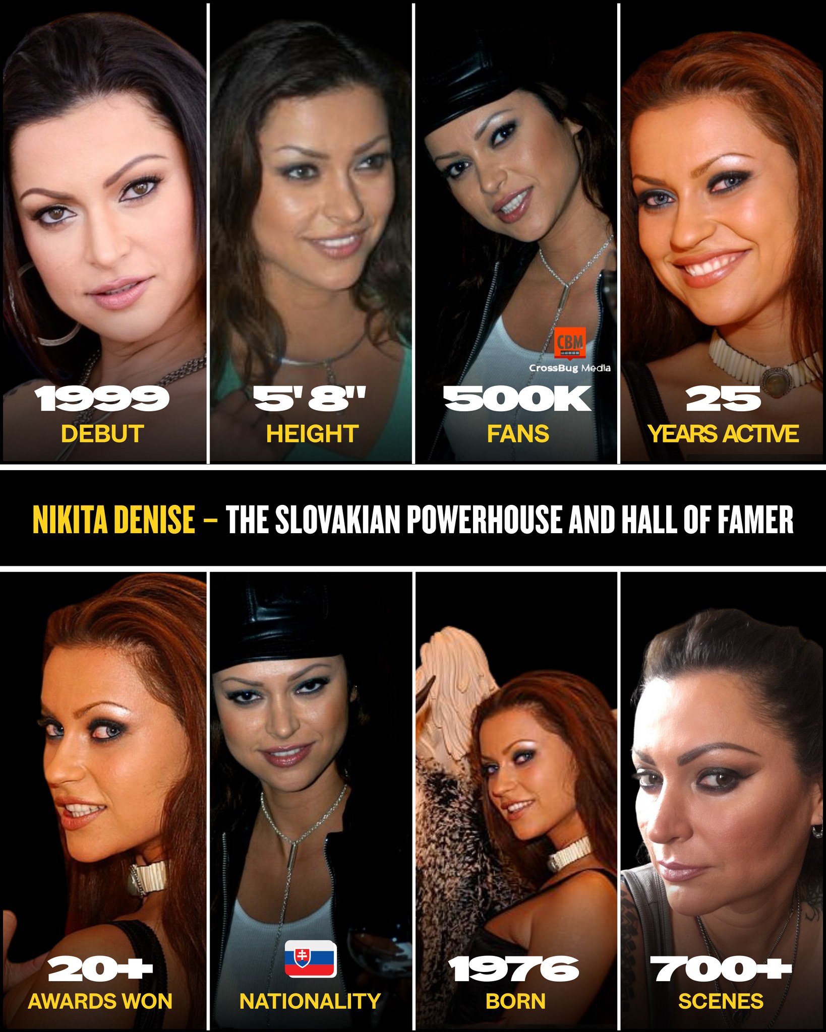 Nikita Denise pornstar extraordinaire