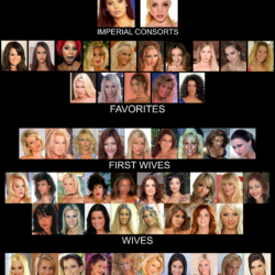 PYGOD's wives Harem ranking hierarchy (1)