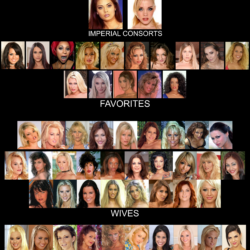 PYGOD's wives Harem ranking hierarchy