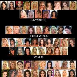 PYGOD's wives Harem ranking hierarchy (3)