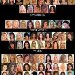 PYGOD's wives Harem ranking hierarchy (7)