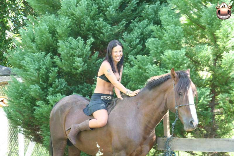 Monica Mattos horse scene