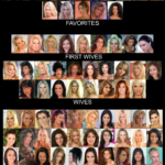 Harem Slave Girls PYGOD's wives Harem ranking hierarchy (12)