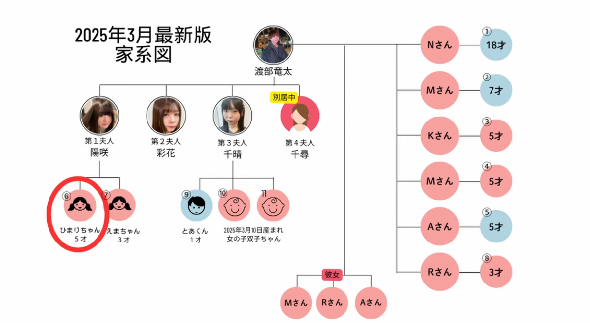 Real life anime Harem baby factory