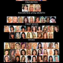 PYGOD's wives Harem ranking hierarchy (2026-07-02)